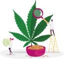 پیش‌نمایش فایل scientist-checking-hemp-plant-and-seeds-in-greenhouse-4704807 از پک سلامت و پزشکی
