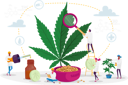 پیش‌نمایش فایل scientist-growing-medical-cannabis-and-preparing-homeopathic-medicine-of-marijuana-4704804 از پک سلامت و پزشکی