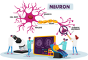 پیش‌نمایش فایل neurobiology-laboratory-4704994 از پک علم