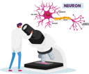 پیش‌نمایش فایل neurobiology-or-chemical-laboratory-research-4704995 از پک علم