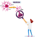 پیش‌نمایش فایل scientist-female-learning-human-neurons-scheme-in-scientific-laboratory-4704999 از پک علم