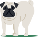 پیش‌نمایش فایل comical-pug-dog-8686870 از پک افراد با حیوانات