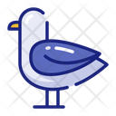 پیش‌نمایش فایل seagull-11603412 از پک فصل تابستان