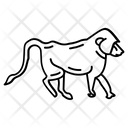 پیش‌نمایش فایل monkey-6898594 از پک حیوانات وحشی