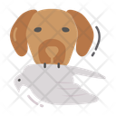 پیش‌نمایش فایل hunting-dog-10375024 از پک شکار