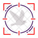 پیش‌نمایش فایل pigeon-10375023 از پک شکار
