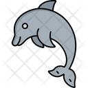 پیش‌نمایش فایل cetacean-7042680 از پک زمستان و تابستان
