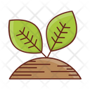 پیش‌نمایش فایل leaf-7218494 از پک زیست‌شناسی