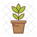 پیش‌نمایش فایل plant-7218502 از پک زیست‌شناسی