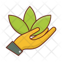 پیش‌نمایش فایل plant-7218503 از پک زیست‌شناسی