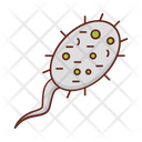 پیش‌نمایش فایل sperm-7218515 از پک زیست‌شناسی