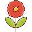 پیش‌نمایش فایل flower-7219485 از پک بوم‌شناسی و محیط زیست