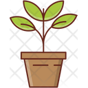 پیش‌نمایش فایل plant-7219493 از پک بوم‌شناسی و محیط زیست