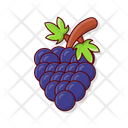 پیش‌نمایش فایل grapes-7224648 از پک غذا و خوراکی