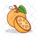 پیش‌نمایش فایل orange-7224660 از پک غذا و خوراکی