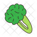 پیش‌نمایش فایل broccoli-7224695 از پک غذا و خوراکی