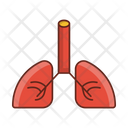 پیش‌نمایش فایل lungs-7225694 از پک پزشکی و درمان