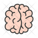 پیش‌نمایش فایل brain-7225759 از پک پزشکی و سلامت