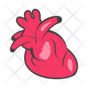 پیش‌نمایش فایل heart-7225772 از پک پزشکی و سلامت