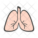 پیش‌نمایش فایل lungs-7225776 از پک پزشکی و سلامت