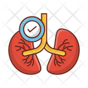 پیش‌نمایش فایل lungs-7226355 از پک پروبیوتیک و مکمل