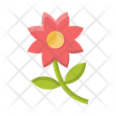 پیش‌نمایش فایل flower-7228488 از پک سفر و گردش