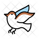 آیکن