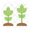 پیش‌نمایش فایل flowers-8962970 از پک استارتاپ