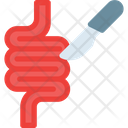 پیش‌نمایش فایل intestine-8965711 از پک جراحی