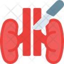 پیش‌نمایش فایل kidney-8965713 از پک جراحی