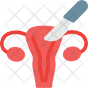 پیش‌نمایش فایل vagina-8965735 از پک جراحی