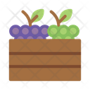 پیش‌نمایش فایل grapes-9045613 از پک شراب