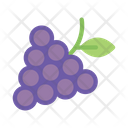 پیش‌نمایش فایل grapes-9045615 از پک شراب