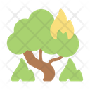 پیش‌نمایش فایل forest-9044743 از پک آتش‌سوزی جنگل
