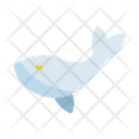 پیش‌نمایش فایل whale-9043732 از پک تماشای نهنگ‌ها