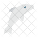 پیش‌نمایش فایل whale-9043733 از پک تماشای نهنگ‌ها