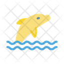 پیش‌نمایش فایل whale-9043734 از پک تماشای نهنگ‌ها