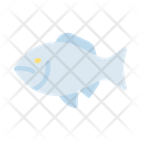 پیش‌نمایش فایل fish-9043503 از پک زندگی سالم و تندرستی