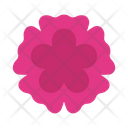 پیش‌نمایش فایل flower-9043504 از پک زندگی سالم و تندرستی