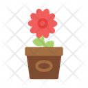 پیش‌نمایش فایل flower-9042888 از پک فعالیت‌های آخر هفته