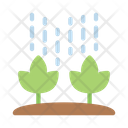 پیش‌نمایش فایل plants-9037087 از پک آب