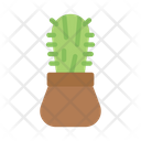 پیش‌نمایش فایل cactus-8983619 از پک عاشق و معشوق
