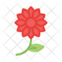 پیش‌نمایش فایل flower-8983594 از پک عاشق و معشوق