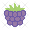 پیش‌نمایش فایل grapes-9018804 از پک میوه گرمسیری