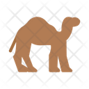 پیش‌نمایش فایل camel-9019111 از پک بوقلمون