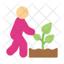 آیکن