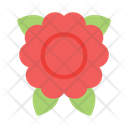 پیش‌نمایش فایل flower-9024123 از پک قبرستان مرگ