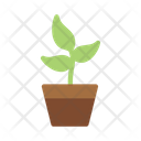پیش‌نمایش فایل plant-9026384 از پک اکولوژی