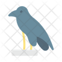 پیش‌نمایش فایل crow-9026485 از پک مصری