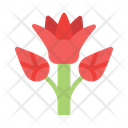 پیش‌نمایش فایل flower-9026493 از پک مصری